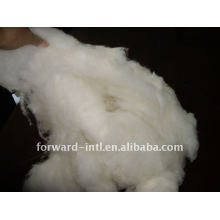 100% pure dehaired combed pashmina wool